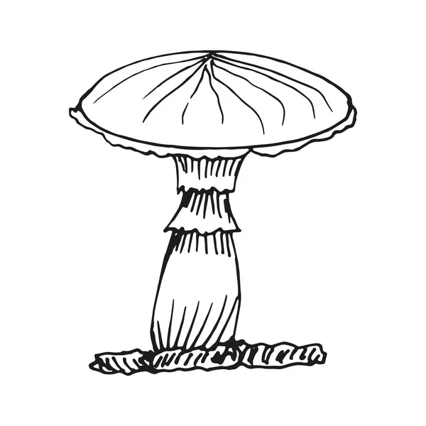 Піктограма гриба в ручному мальованому стилі — стоковий вектор