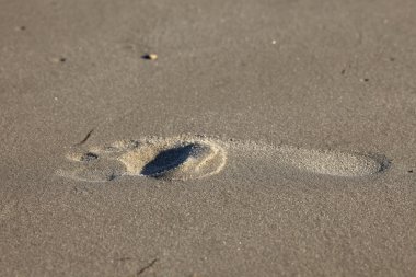 Kumda ayak izi