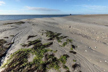 Schleswig Holstein Wadden Denizi