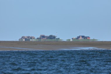 Kuzey Denizi'nde Halligen