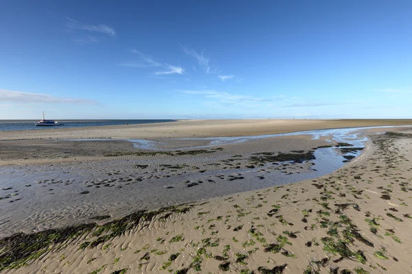 De Waddenzee in Sleeswijk-Holstein — Stockfoto