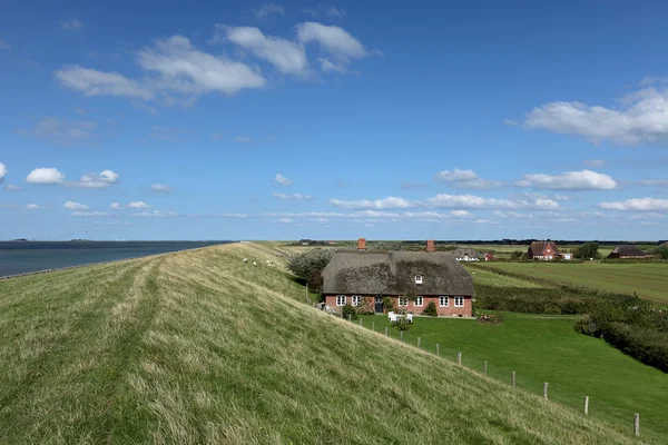 Histórica casa de campo con paja en Pellworm en Schlewig Hollstein — Foto de Stock