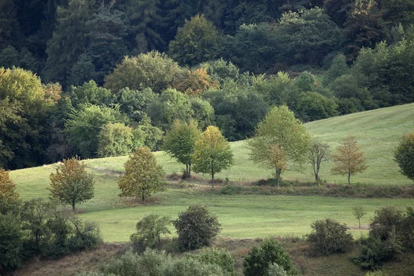 Landschaft des Werratals Im Herbst sterben — Stockfoto