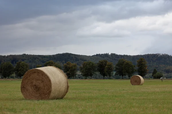 Ballots de foin sur une prairie en automne — Photo