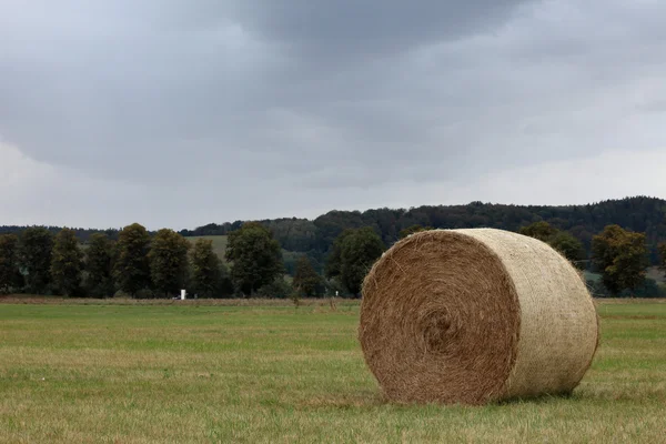 Ballots de foin sur une prairie en automne — Photo