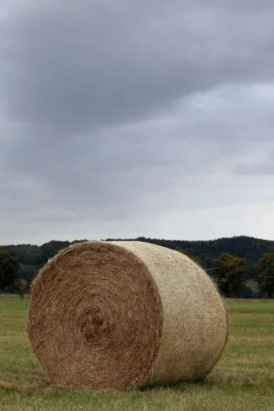 Feno fardos em um prado no outono — Fotografia de Stock