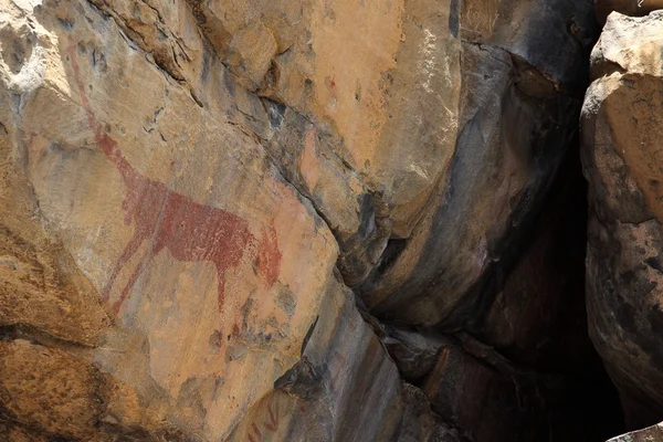 Pinturas rupestres y pintura rupestre en la Caatinga de Brasil — Foto de Stock