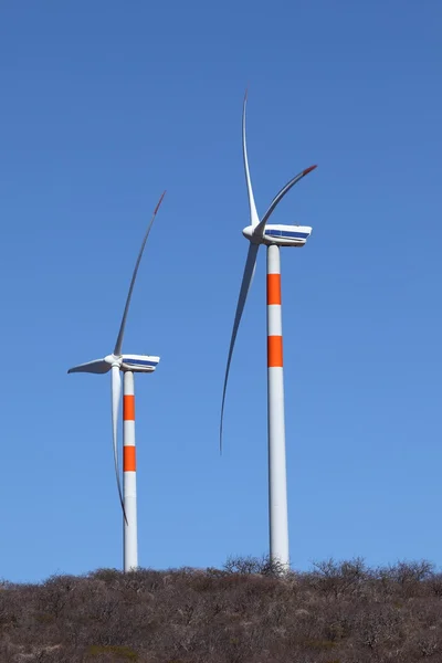 Вітер енергетичних рослин в Каатинга Бразилії — стокове фото