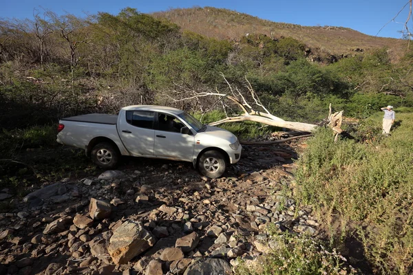 Fora de estrada na Caatinga do Brasil — Fotografia de Stock