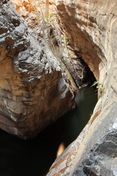 Barranco profundo en el paisaje caatinga de Brasil —  Fotos de Stock