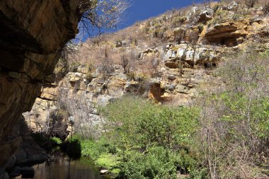 Brezilya Caatinga peyzaj