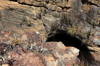 Brezilya Caatinga peyzaj