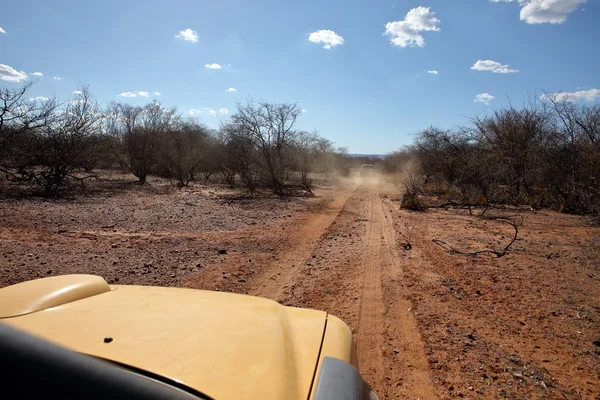 Offroad in der Caatinga von Brasilien — Stockfoto