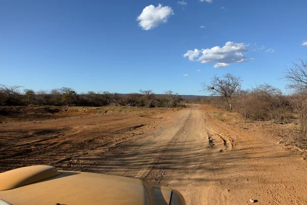 Út a Caatinga, Brazília — Stock Fotó