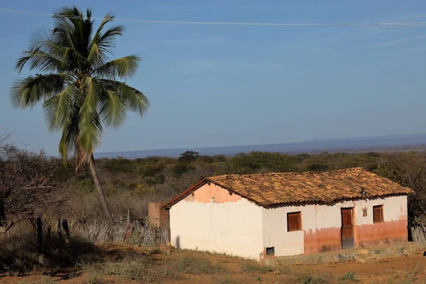 Бразильская деревня в Каатинге — стоковое фото