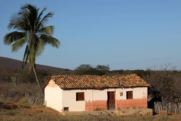 Brazilské vesnici v Caatinga — Stock fotografie
