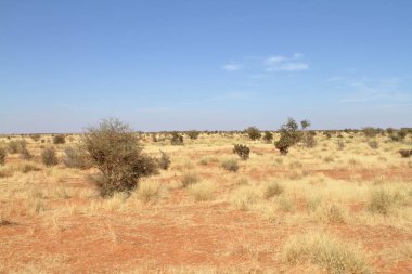 Sudan'da Afrika Sahra Çölü