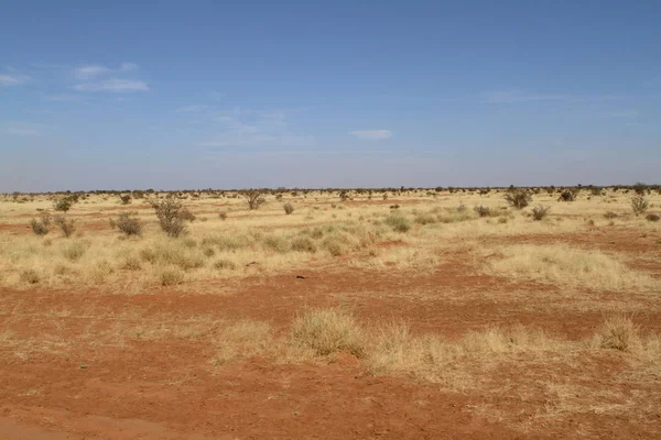 Пустыня Сахара в Судане в Африке — стоковое фото