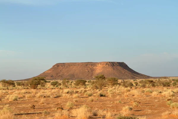 Na pustyni Sahara w Sudanie w Afryce — Zdjęcie stockowe