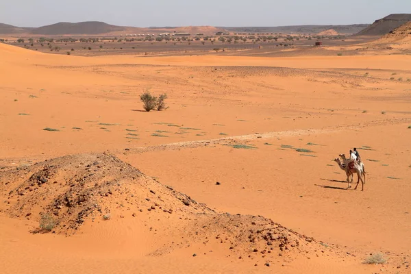 Karawane in der Sahara von Sudan in der Nähe von Meroe — Stockfoto