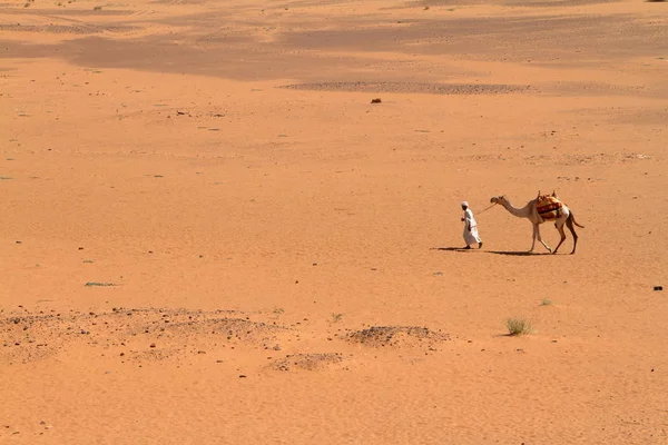 Caravan in de Sahara uit Soedan in de buurt van Meroe — Stockfoto