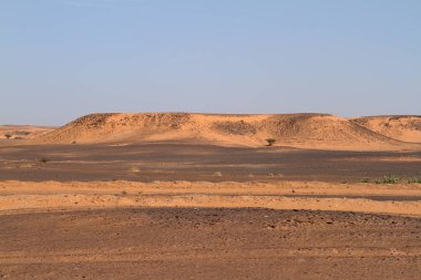 Sudan'da Afrika Sahra Çölü