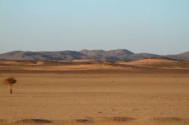 Sudan'da Afrika Sahra Çölü