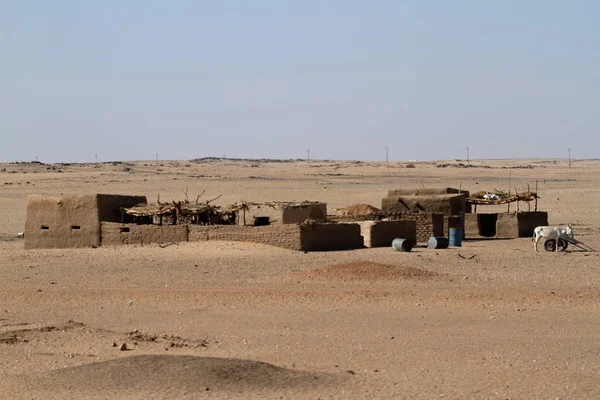 Byar i Sahara i Sudan — Stockfoto