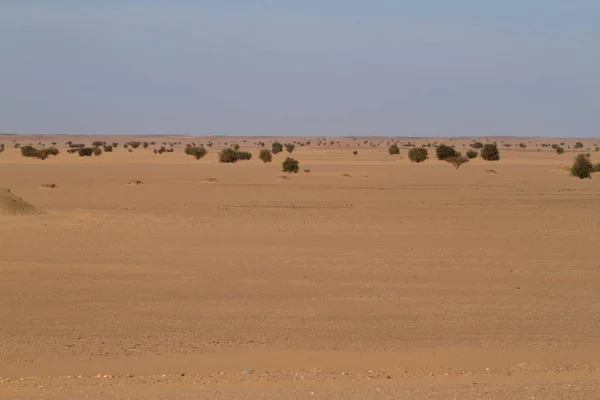 O deserto do Saara no Sudão em África — Fotografia de Stock