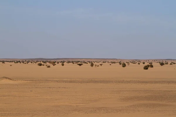 Die sahara-wüste in sudan in afrika — Stockfoto