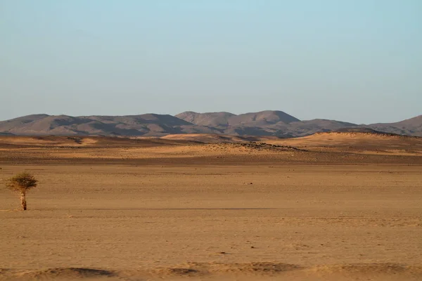 The Sahara desert in Sudan in Africa — Stock Photo, Image