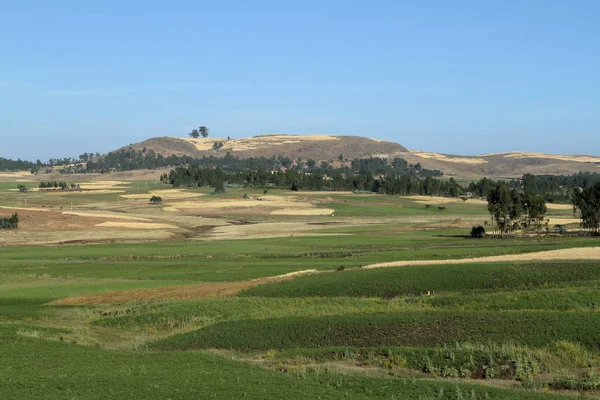 Krajina pohoří Simien v Etiopii — Stock fotografie