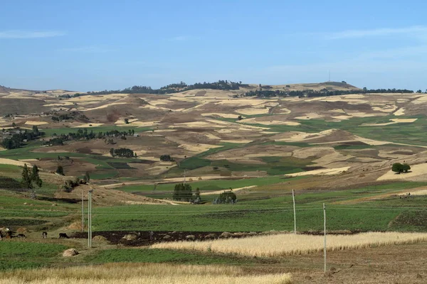 stock image The landscape of the Simien mountains in Ethiopia