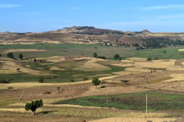 Etiyopya Simien dağlarında peyzaj