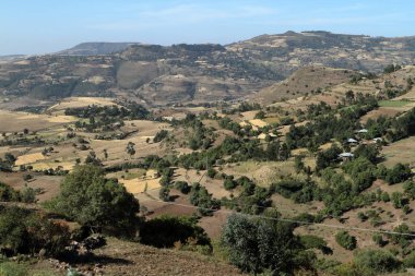 Etiyopya Simien dağlarında peyzaj