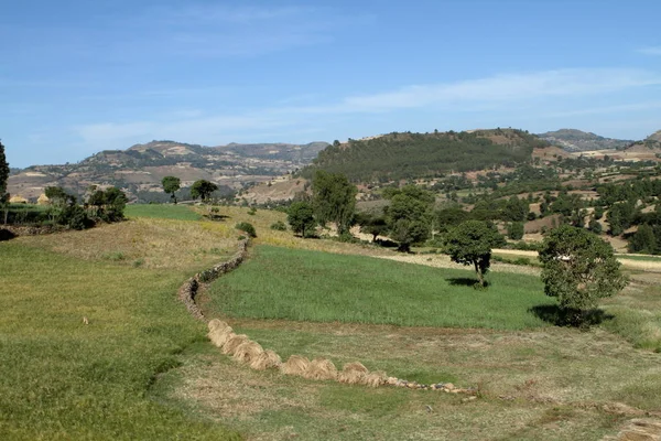 Die Landschaft der Affenberge in Äthiopien — Stockfoto