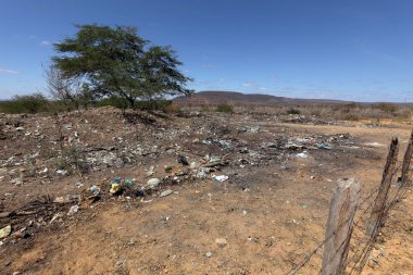 Brezilya, 14 Caatinga kirlilik. Ağustos 2016