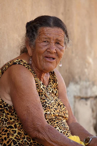 Yaşlı kadın--dan mangal — Stok fotoğraf