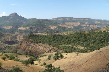 Etiyopya Simien dağlarında peyzaj
