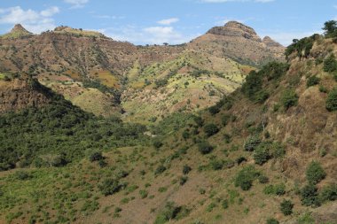 Etiyopya Simien dağlarında peyzaj