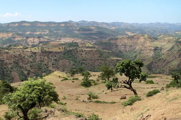 Die Landschaft der Affenberge in Äthiopien — Stockfoto