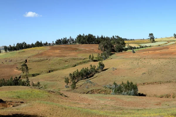 Manzara Amhara Bölgesi Etiyopya