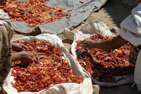 Red chili peppers on a market in Ethiopia — Stock Photo, Image