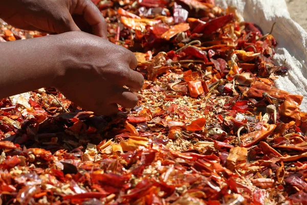 Red chili peppers on a market in Ethiopia — Stock Photo, Image