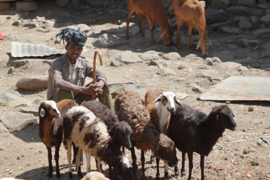 Etiyopya, 14 Debark Afrika pazarı. Kasım 2012