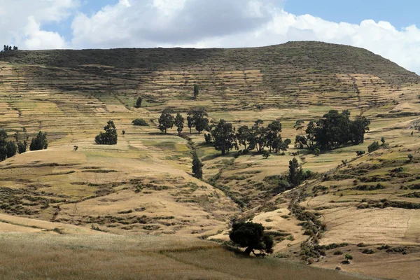 Le paysage des montagnes Simien en Éthiopie — Photo