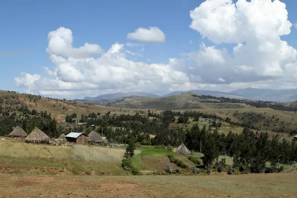 Strohhütten in einem Dorf in Äthiopien — Stockfoto