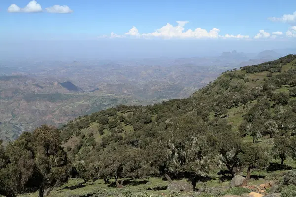 景观的埃塞俄比亚塞米恩山 — 图库照片