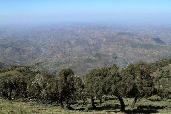 Le paysage des montagnes Simien en Éthiopie — Photo
