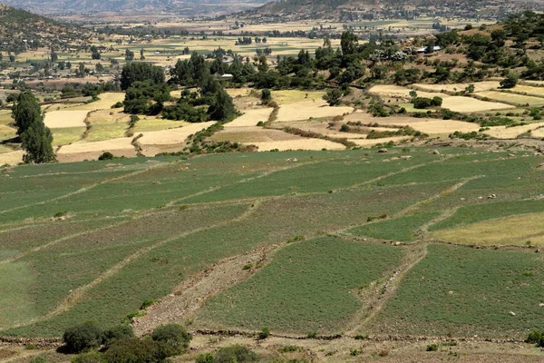 Landwirtschaft in Äthiopien — Stockfoto
